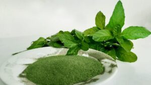 Pudina Pata Gura-(Mint leaf Powder